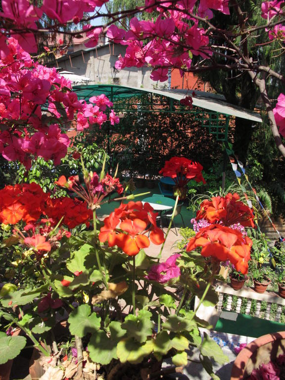 Souvenir Guest House Catmandu Exterior foto